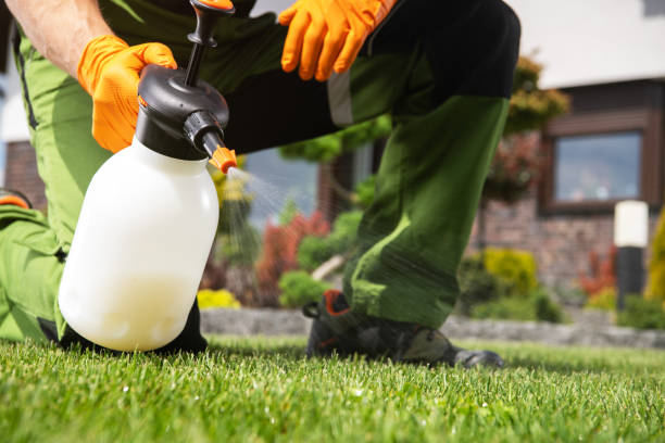 Best Rat Extermination Near Me  in Oakwood, PA