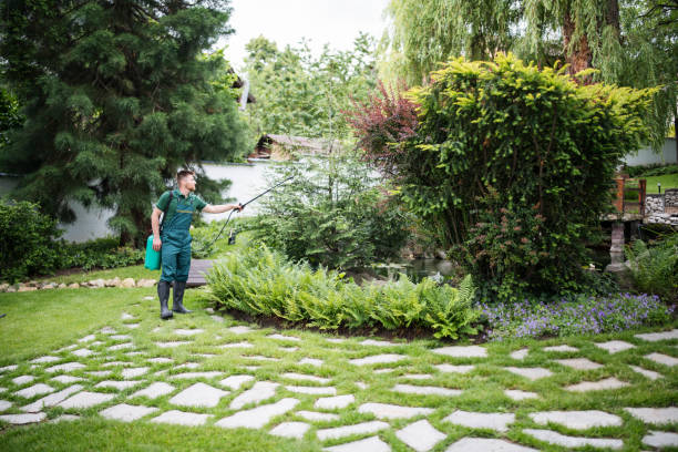 Best Ant Control Services  in Oakwood, PA